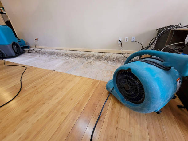 Professional Water Extraction technician working in Springfield, KY